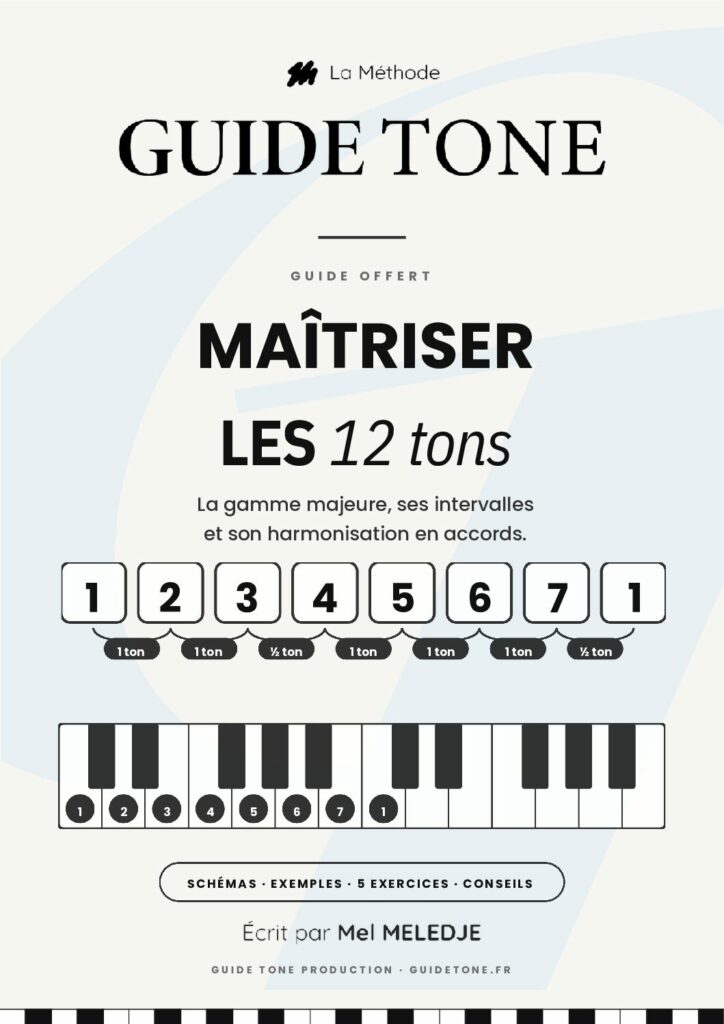 Couverture - Maîtriser les 12 tons